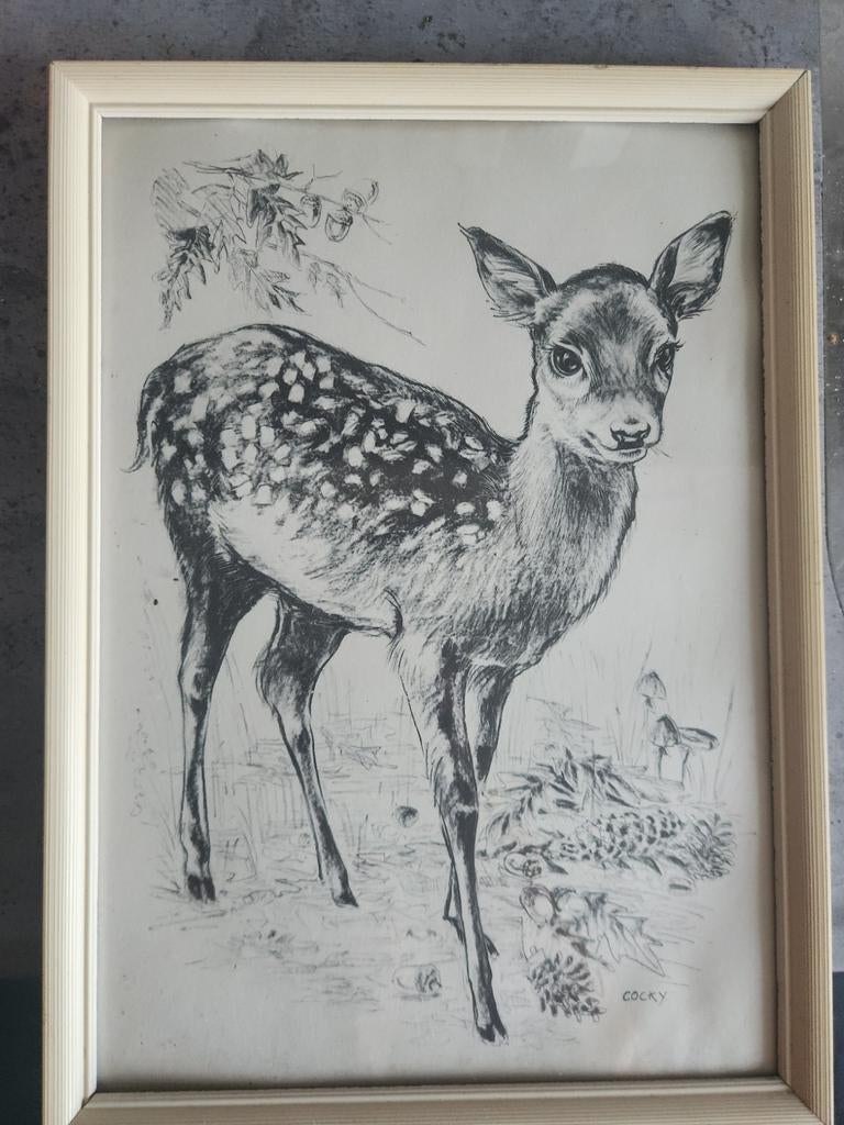 Ingelijste tekening van een reekalf, gesigneerd Cocky, Ophalen of Verzenden