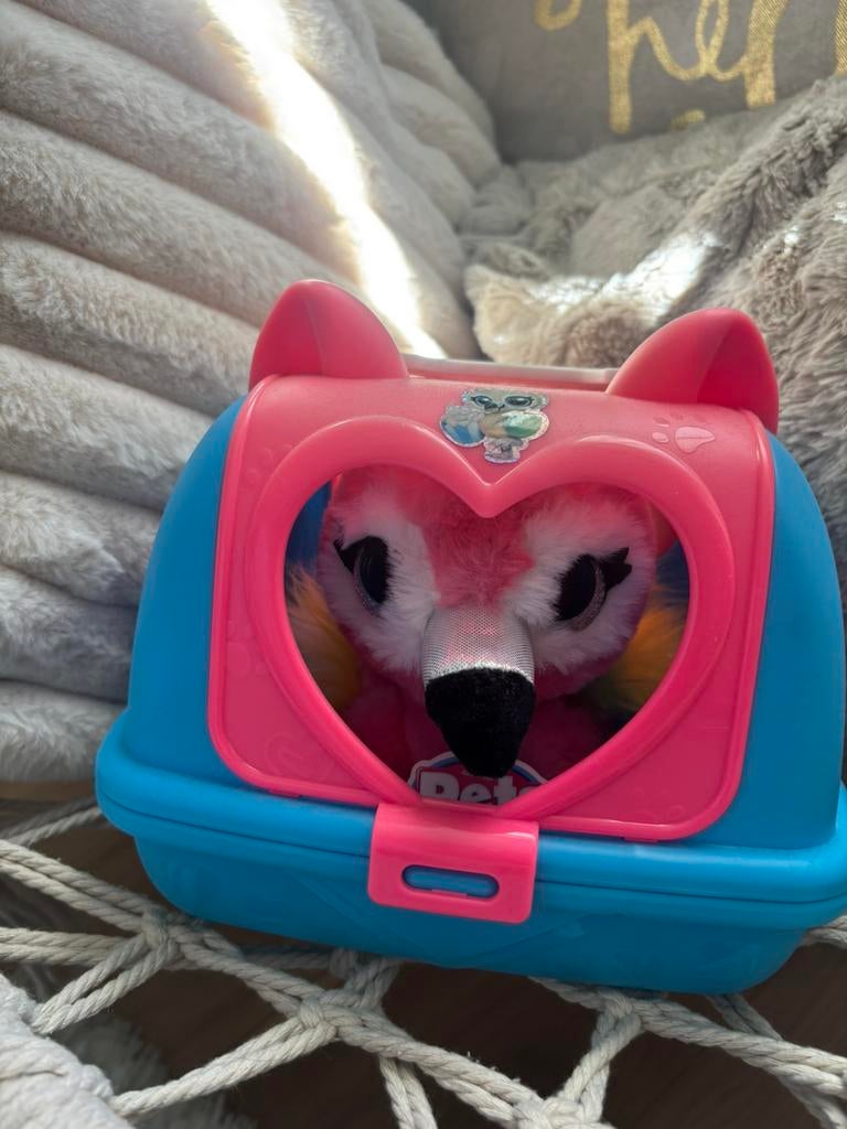 Pets alive flamingo, Dieren en Toebehoren, Geslacht onbekend, Januari, Overige typen, Tam