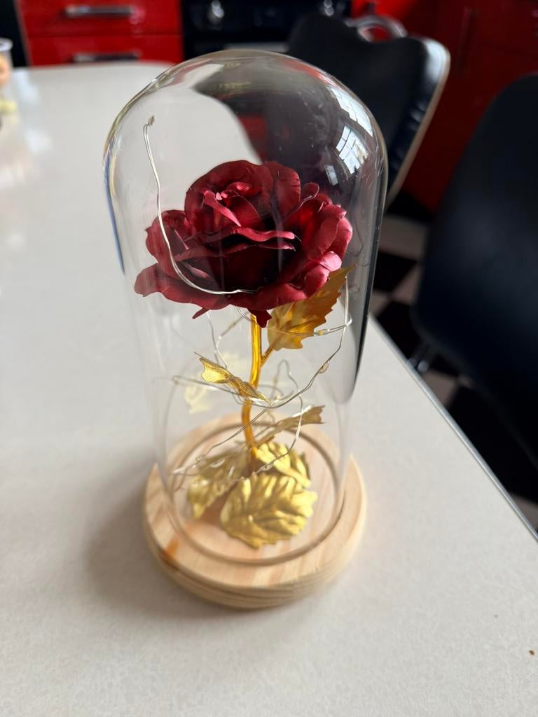 *Eeuwige roos in stolp met lichtjes*, Ophalen of Verzenden, Zo goed als nieuw