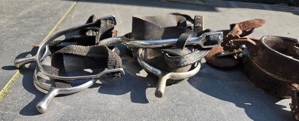 Diversen kastopruiming, Ophalen of Verzenden, Gebruikt, Dressuur