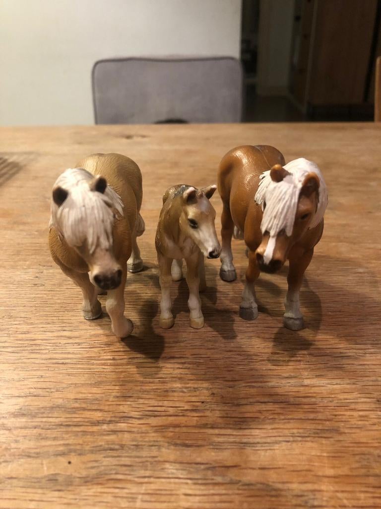 Oude Haflinger Familie, Ophalen of Verzenden, Gebruikt, Jongen of Meisje