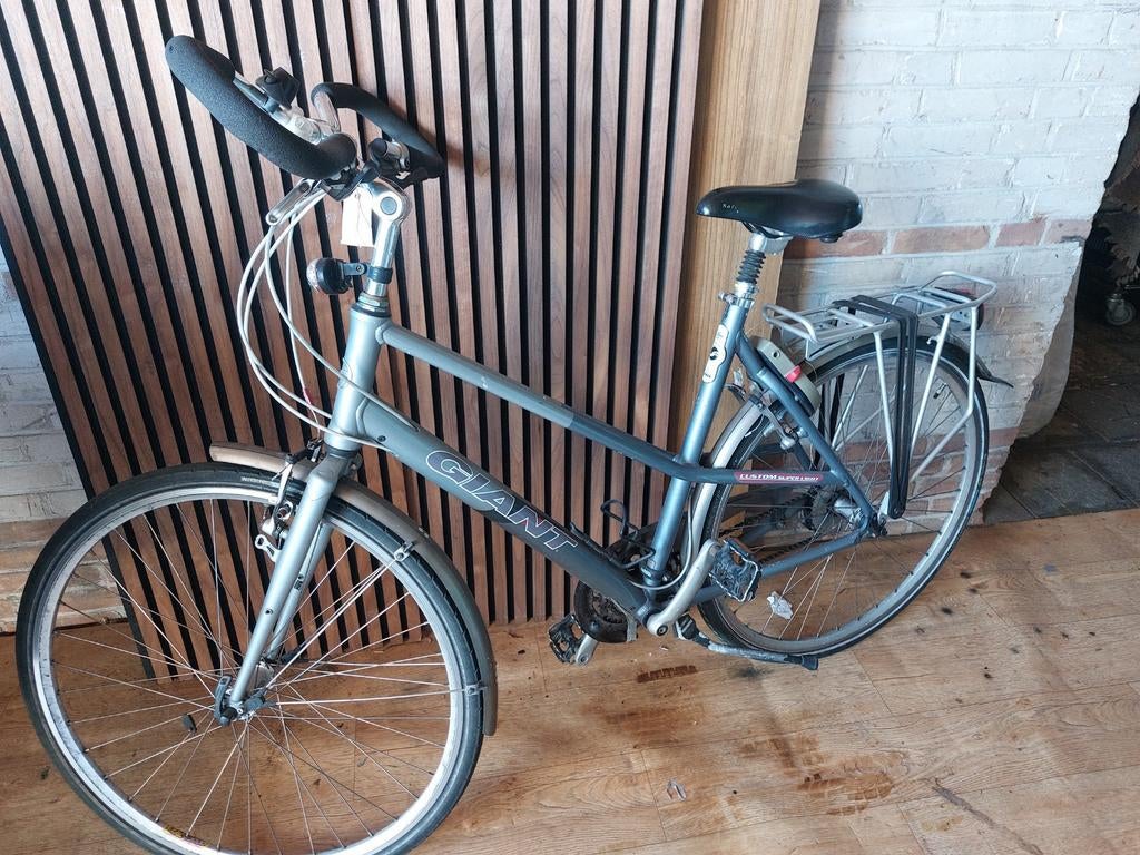 Damesfiets Giant custom super Light 56 cm L, Ophalen, Hondenkar, 80 kg of meer