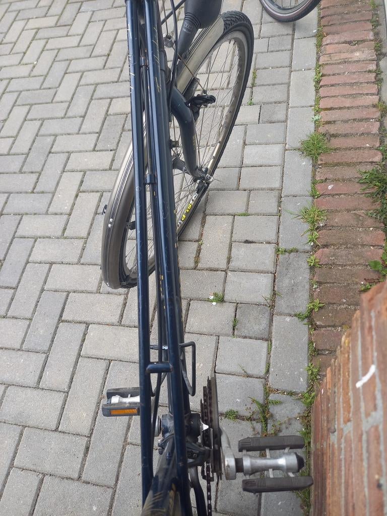 Koga Miyata, Gebruikt, Ophalen of Verzenden, Koga Miyata, 50 tot 53 cm