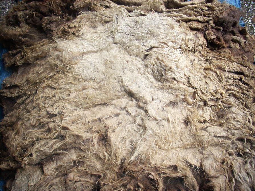 schapenvachten vachtvilten wol schapenwol vachten vilt, Ophalen of Verzenden, Nieuw, Materiaal