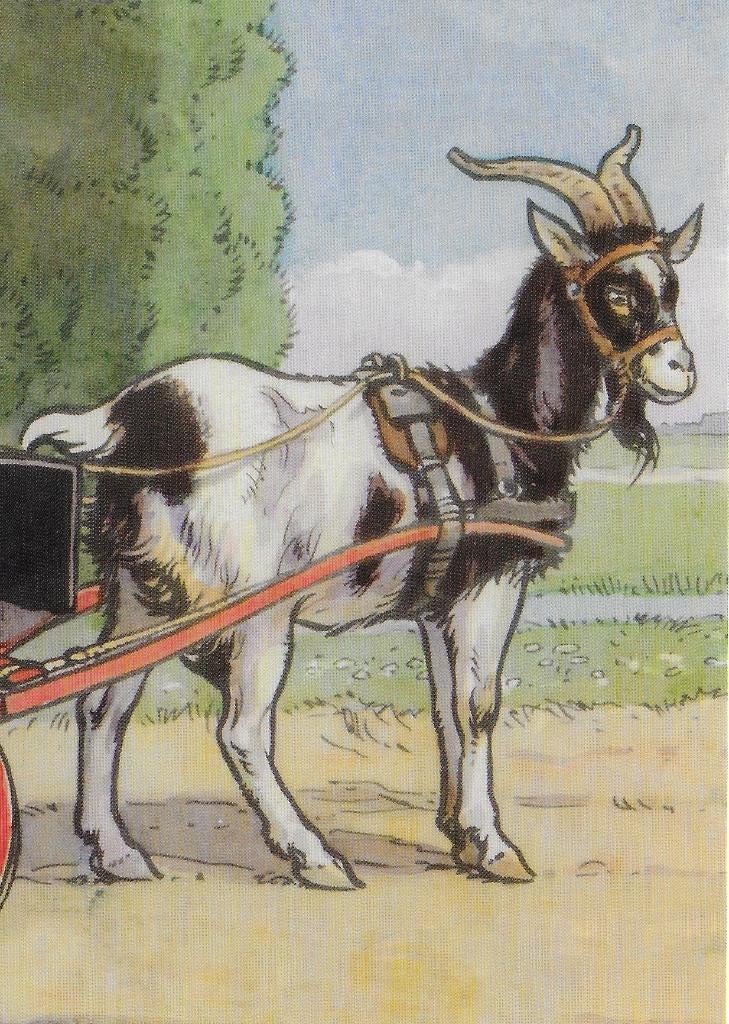 Ongelopen Ansichtkaart bok van het leesplankje (B3962 ), Verzenden, 1980 tot heden, Ongelopen