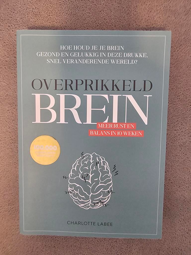 Overprikkeld Brein - Charlotte Labee, Boeken, Psychologie, Zo goed als nieuw, Overige onderwerpen, Ophalen of Verzenden