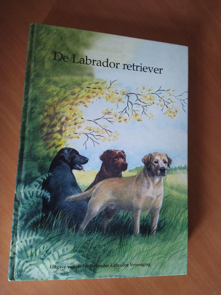 De Labrador Retriever, Ophalen of Verzenden, Zo goed als nieuw, Honden