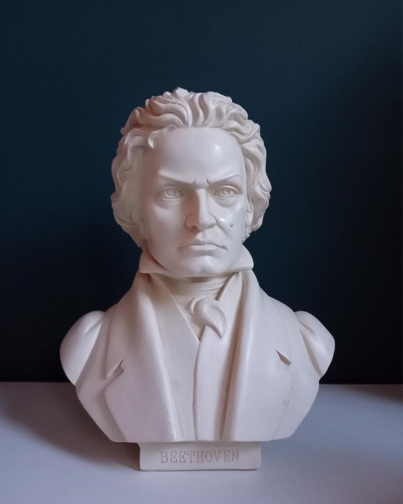 Buste Ludwig van Beethoven, Ophalen of Verzenden, Mens