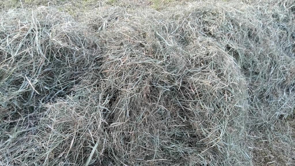 Hooi geschikt voor paarden | diverse maten | Gratis levering, Ophalen