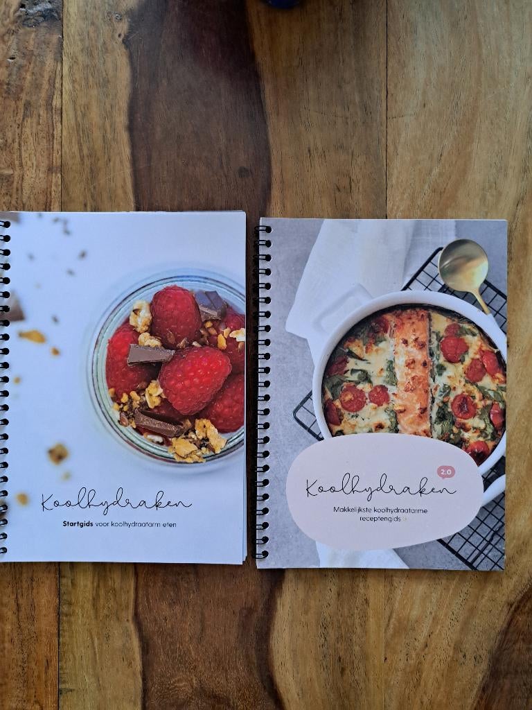 Koolhydraken startersgids en 2.0, Boeken, Kookboeken, Ophalen of Verzenden, Zo goed als nieuw, Gezond koken