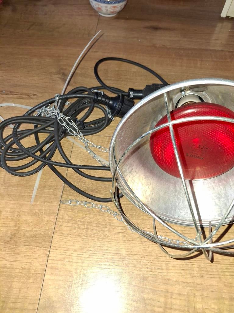 Warmte lamp voor nest pups of andere dieren, Ophalen of Verzenden, Zo goed als nieuw