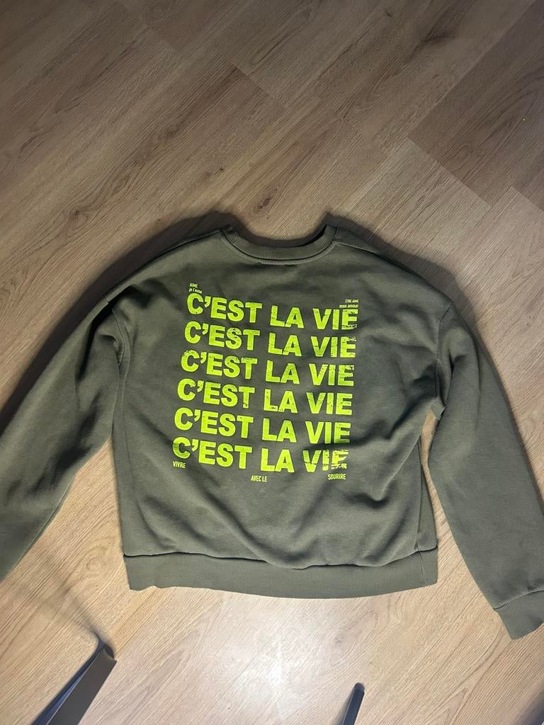 My Jewellery Trui, Ophalen of Verzenden, Gedragen, Maat 38/40 (M), Groen