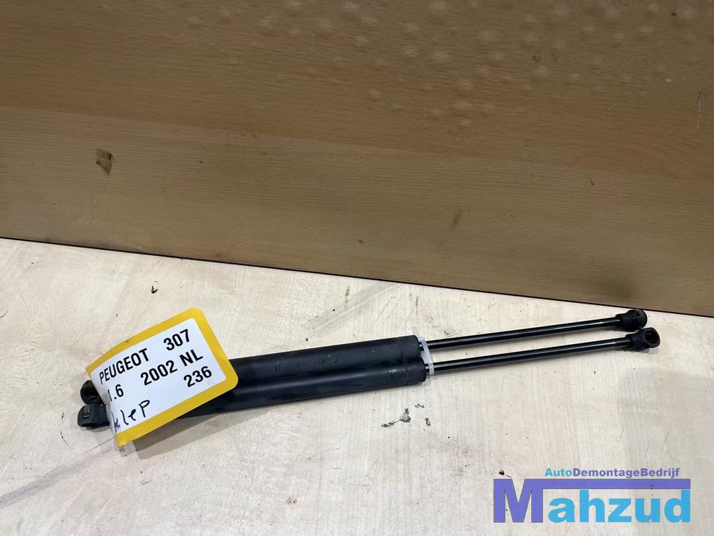 PEUGEOT 307 Hatchback gasveer set 2000-2007, Auto-onderdelen, Taurusavenue 1
2132 LS  Hoofddorp, NL, Gebruikt, Contact.group@renault.com