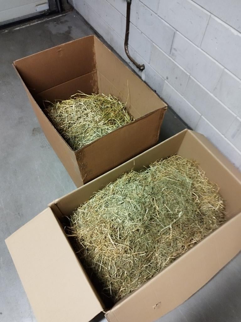 Gratis afhalen. 2x Dozen hooi, Ophalen, Vee