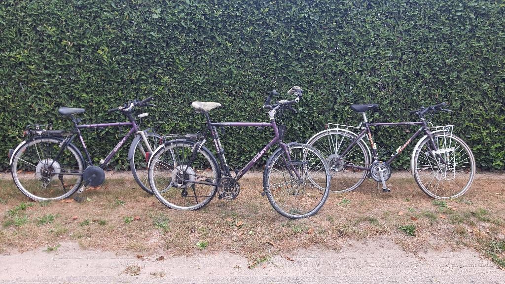 3x Giant Expedition koopje, Ophalen, Gebruikt, Giant, Versnellingen