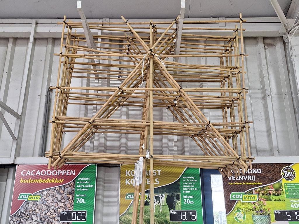 Bamboe rek voor leiboom, Ophalen, Bloeit niet, Halfschaduw, Overige soorten