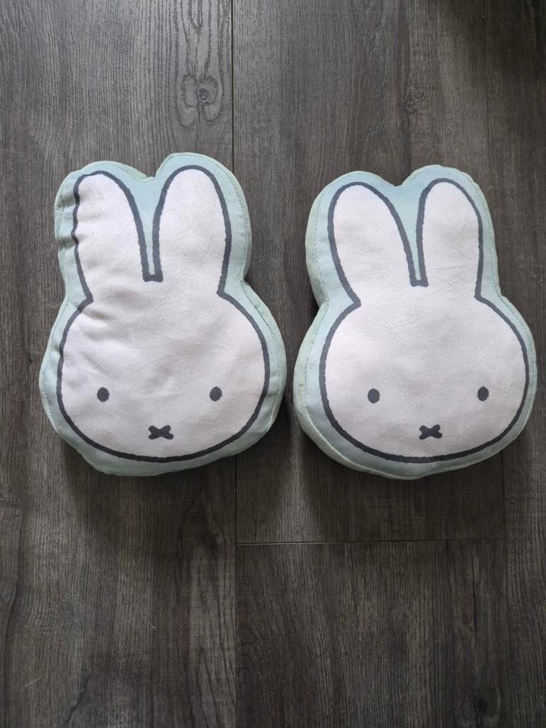 2 Nijntje kussens mintgroen, Ophalen of Verzenden, Zo goed als nieuw, Groen, Overige vormen