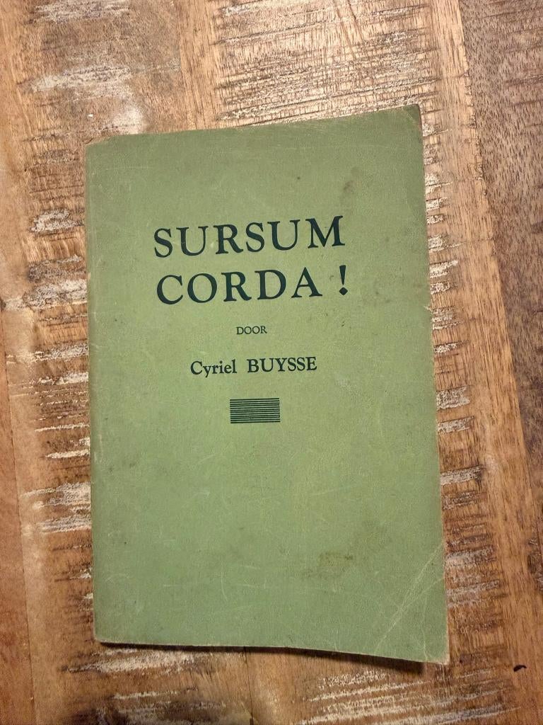 Sursum Corda! door Cyriel Buysse, Ophalen of Verzenden, Gelezen, Cyriel Buysse, België
