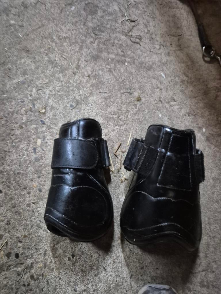 Kogelbeschermers van trust kentucky js schockemöhle, Ophalen, Zo goed als nieuw