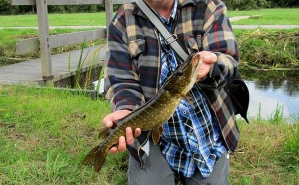 Set L 7 van 5 stuks Forel / Baars / Snoekstreamertjes, Ophalen, Nieuw, Complete set