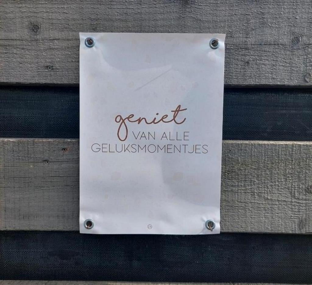 Tuinposter, Tuin en Terras, Tuinwanddecoratie, Ophalen of Verzenden, Nieuw