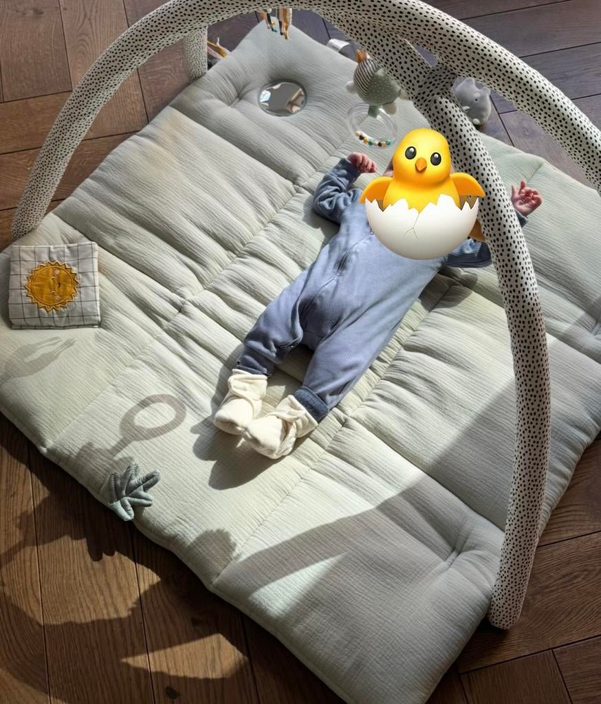 Vertbaudet speelmat-babygym-tanzania, Ophalen, Zo goed als nieuw