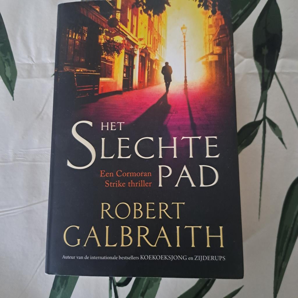 Het Slechte Pad - Robert Galbraith, Ophalen of Verzenden