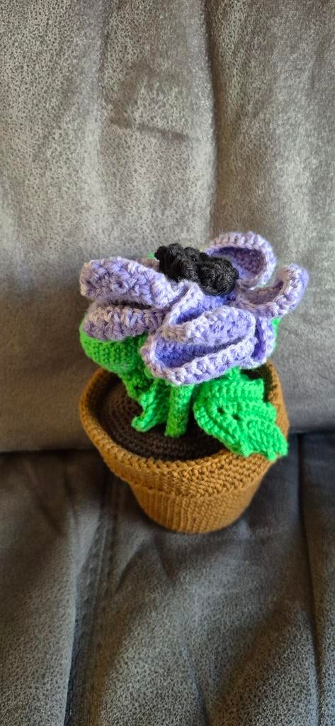 Gehaakte anemoon met bloempot, Ophalen of Verzenden, Nieuw, Haken, Overige typen