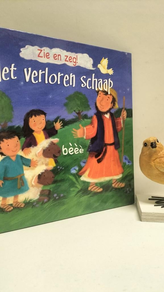 Goodings, Christina; Zie en zeg!  Het verloren schaap, Ophalen of Verzenden, Gelezen, Christendom | Protestants