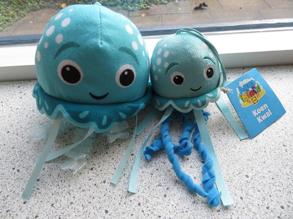 Koen Kwal van LIDL Aquamini en Aqua Pals kwal, Ophalen of Verzenden, Zo goed als nieuw, Overige typen
