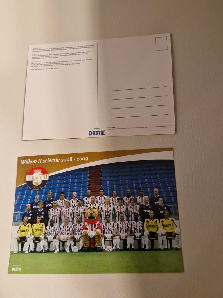 Willem II Selectie 2008-2009 Elftalfoto, Ophalen of Verzenden, Gebruikt, Willem II