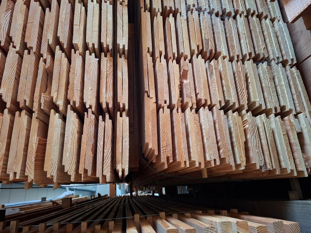 OP IS OP sponningplanken douglas 300cm en 500cm lang, Ophalen, Nieuw, 250 cm of meer, Planken