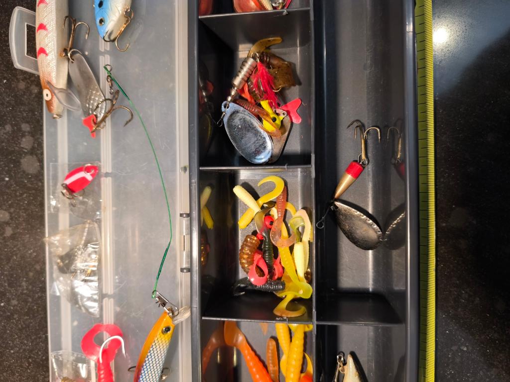 Kuntsaas en Blinkers, Ophalen of Verzenden, Gebruikt, Overige typen