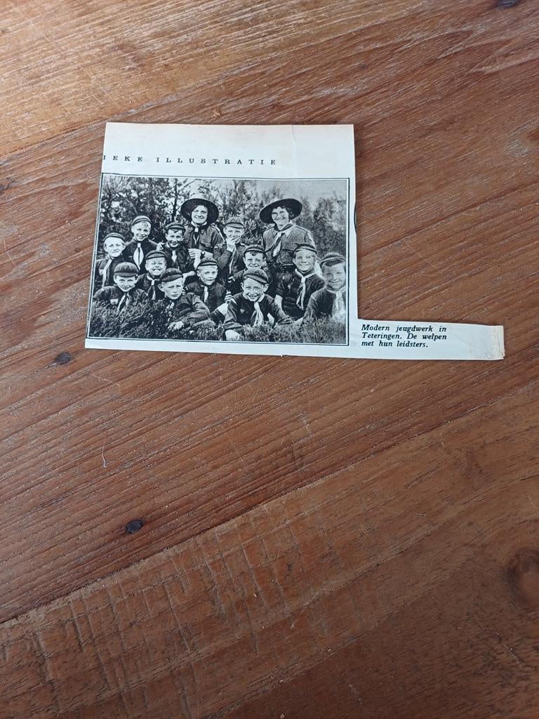 Knipsel welpen in Teteringen 1933, Ophalen of Verzenden, Gebruikt, Embleem, Speld of Insigne