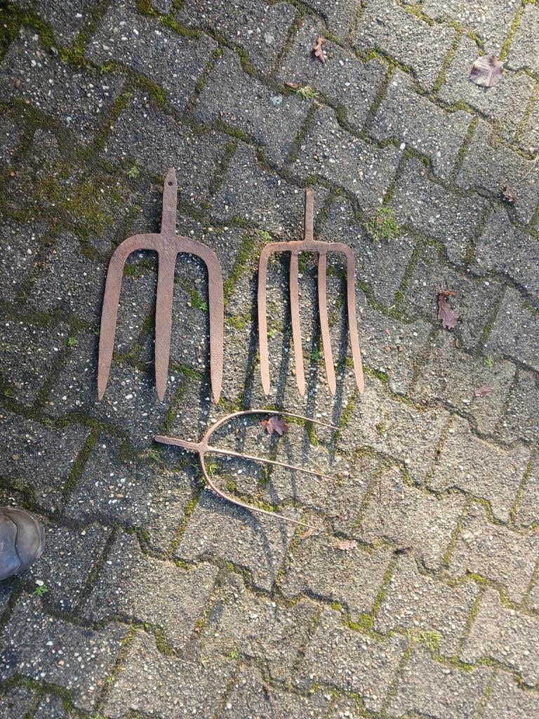 Rooivorken, Ophalen of Verzenden