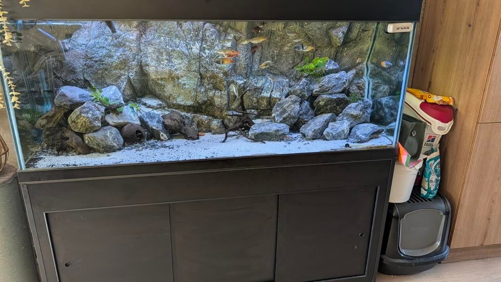 Aquarium 160x60x60, Dieren en Toebehoren, Ophalen