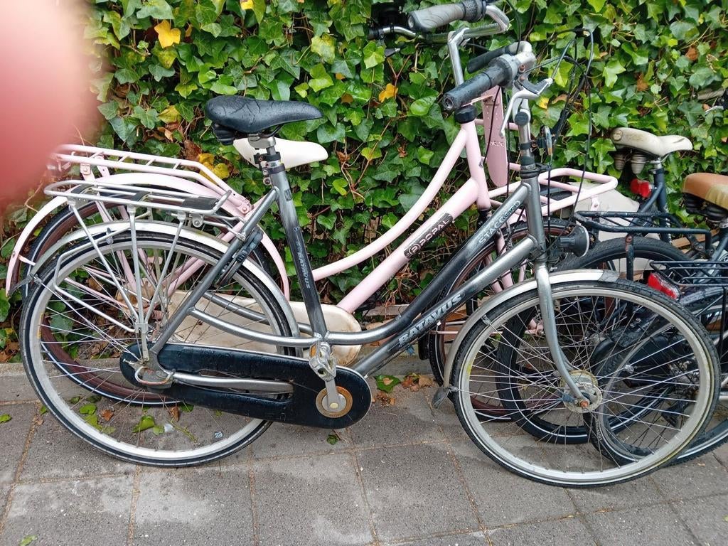 Gevraagd Oude fietsen Haal gratis op, Ophalen of Verzenden, Gebruikt, Overige merken