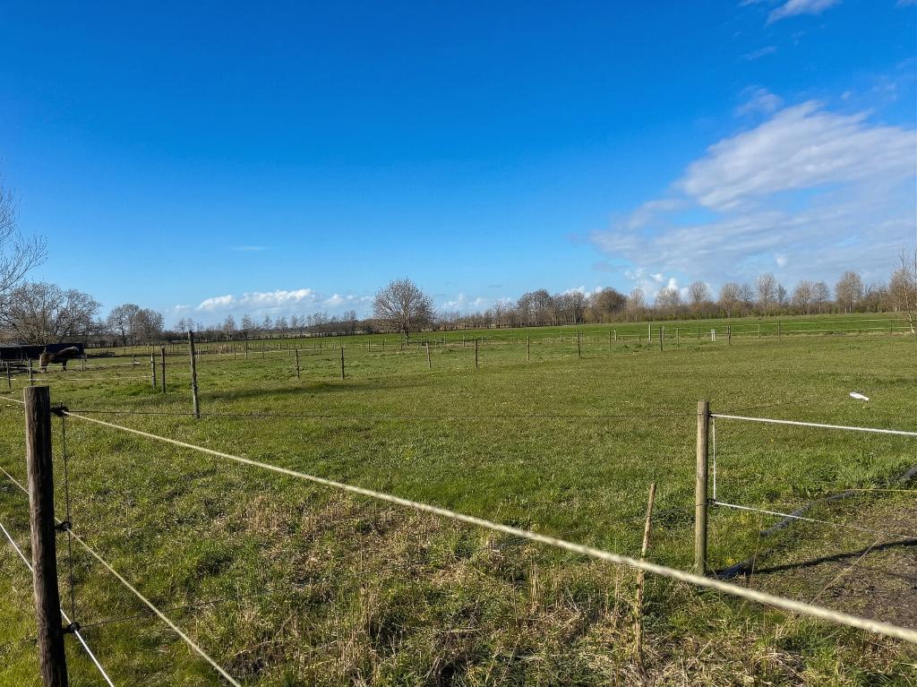 Wei met schuilstal voor 1 pony te huur, Dieren en Toebehoren, Stalling en Weidegang, Weidegang, 1 paard of pony