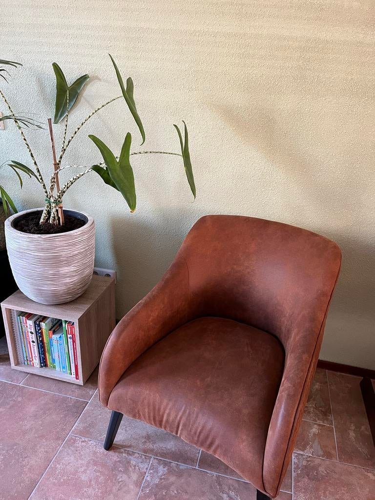 Kave home fauteuil, Ophalen, Gebruikt, Minder dan 75 cm, Leer