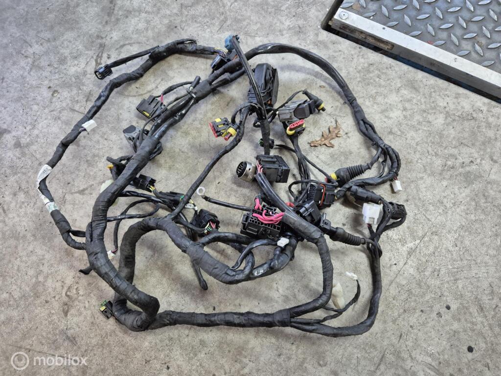 Ducati Panigale 1199 1299 899 959 51017921C kabelboom, Gebruikt, Factorystore.service@ducati.com, Ophalen of Verzenden, Via Antonio Cavalieri Ducati, 74/5, 74/6, 40132 Bologna BO