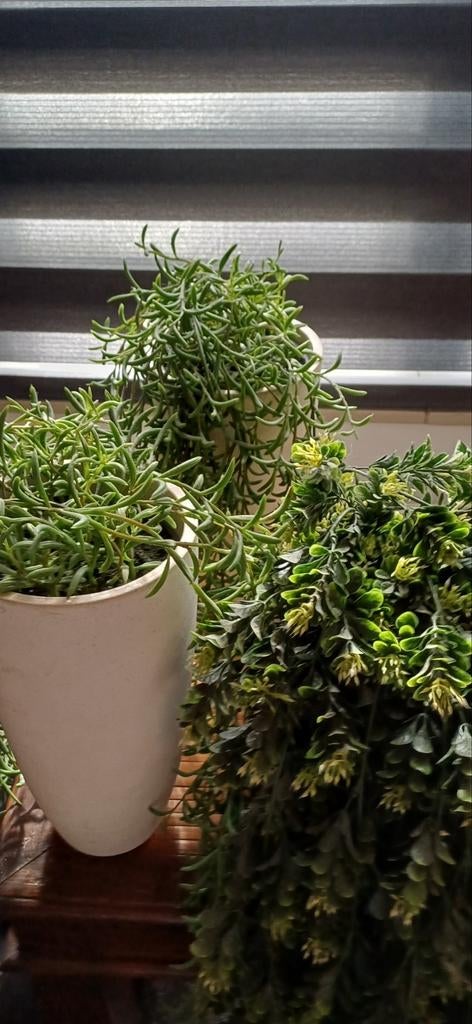 Kunstplanten en kunstbloemen, Huis en Inrichting, Kamerplanten, Ophalen, Halfschaduw, Minder dan 100 cm