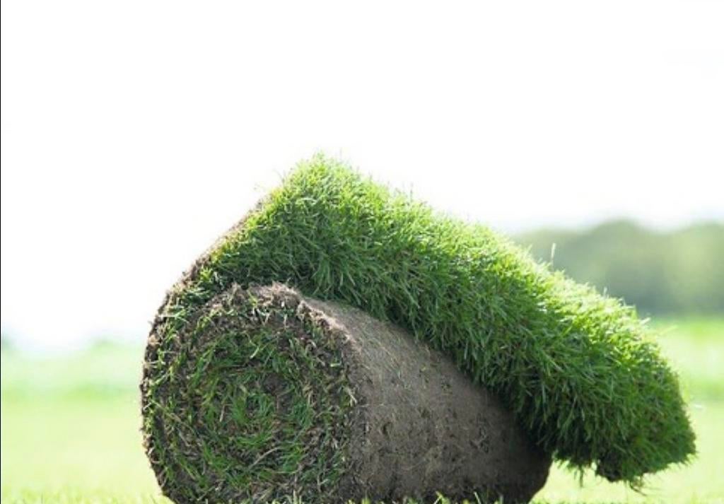 Graszoden 5 euro per meter, Tuin en Terras, Gras en Kunstgras, Ophalen, Nieuw, 20 m² of meer