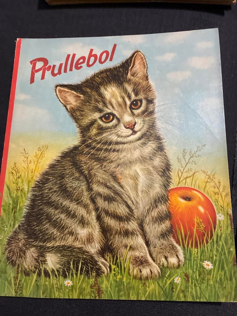 Prullebol - Vintage Prentenboek Nedlloyd Lijnen, Ophalen of Verzenden, Gelezen, Prentenboek