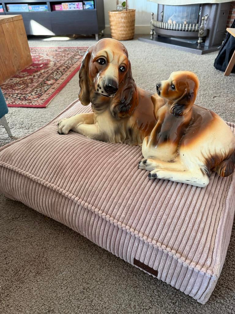 Hondenkussen van het merk Designed by Lotte., Ophalen, Zo goed als nieuw