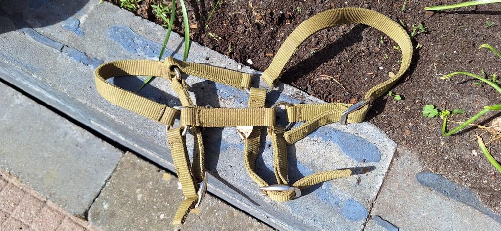 Pony veulen halster legergroen, Ophalen of Verzenden, Gebruikt, Overige soorten