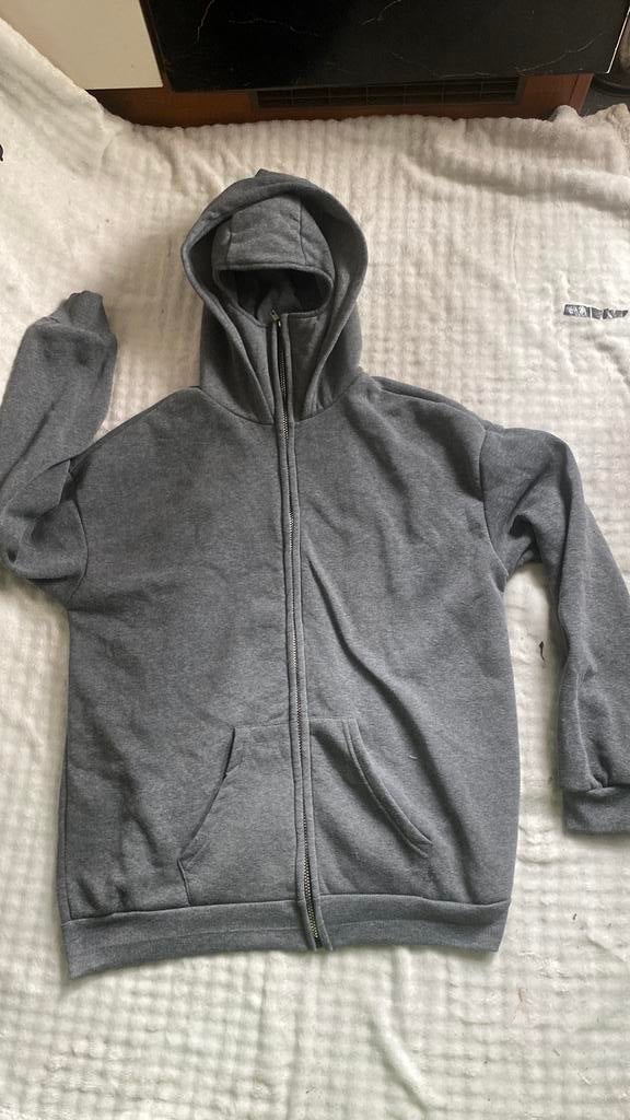 Mask Hoddie heren, Kleding | Heren, Ophalen, Zo goed als nieuw, Maat 56/58 (XL), Grijs