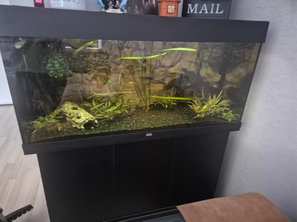 Complete aquariumset te koop – JUWEL Rio 180 met veel extra, Ophalen, Zo goed als nieuw, Leeg aquarium, Verwarming