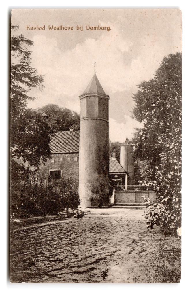 Domburg, Kasteel Westhove bij Domburg. Lees beschrijving, Verzenden, 1920 tot 1940, Ongelopen, Zeeland