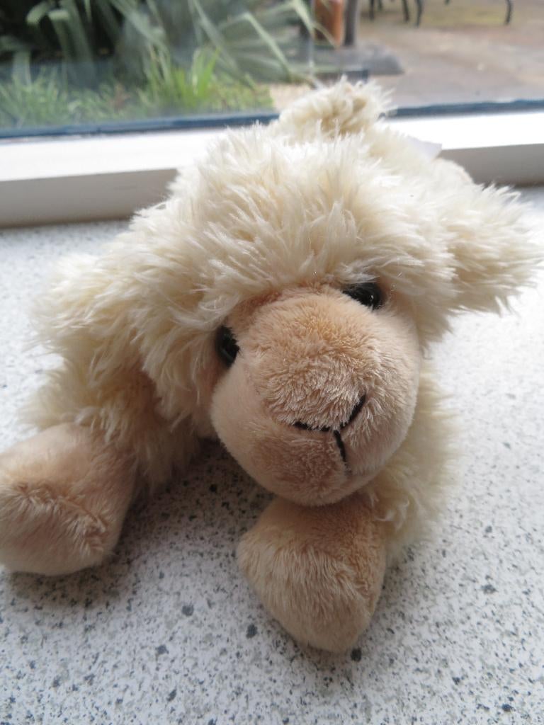 Schaap merk Egmont Toys meet liggend ca 25 cm, Ophalen of Verzenden, Zo goed als nieuw, Overige typen, Wasbaar