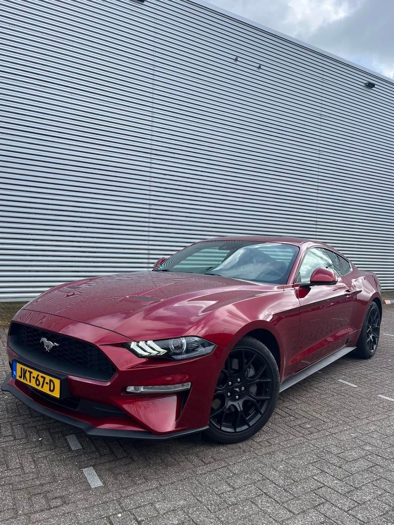 Ford Mustang 2.3 Ecoboost 290pk 2018 Rood, Auto's, 290 pk, Achterwielaandrijving, Zwart, 4 cilinders